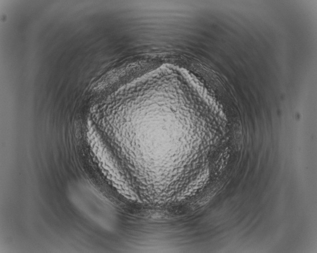 X0000085020654200703261222
