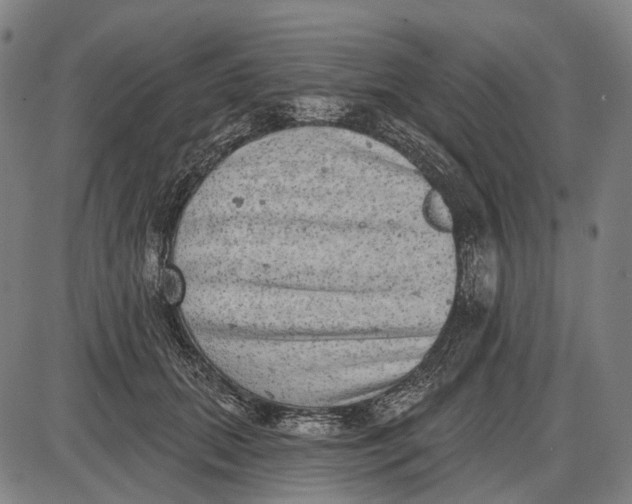 X0000085020655200703261222