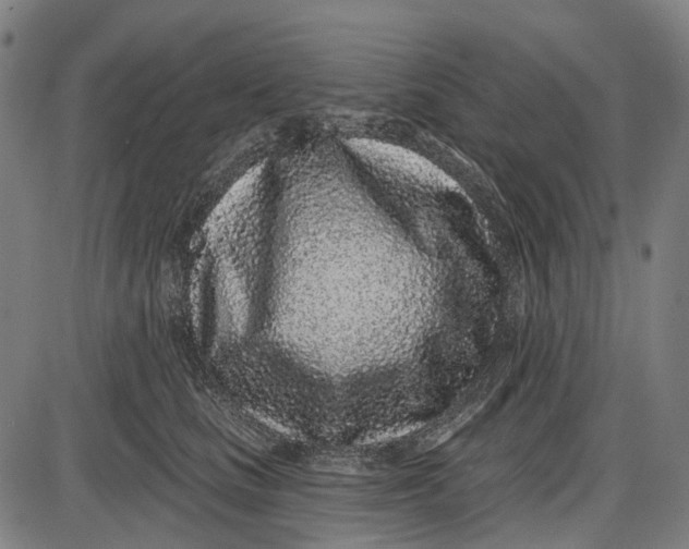 X0000085020661200703261222