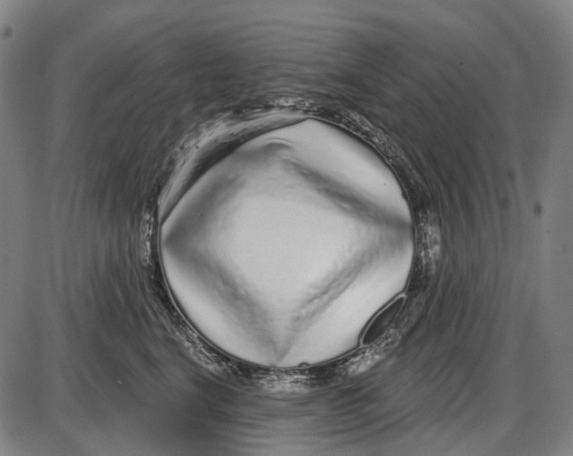 X0000085020664200703261222
