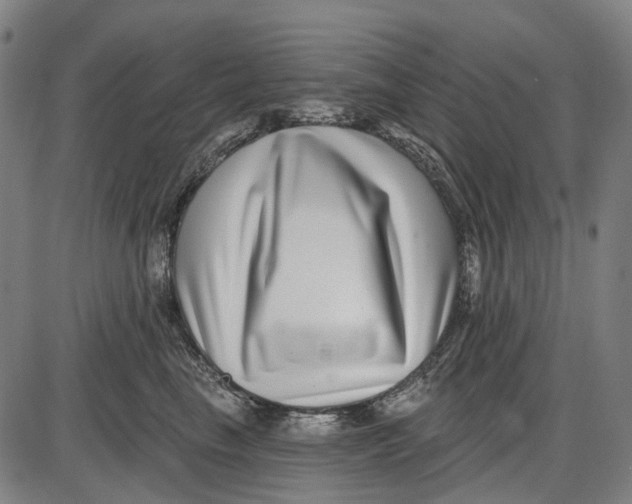 X0000085020665200703261222