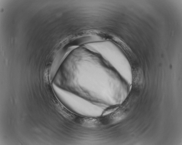 X0000085020669200703261222