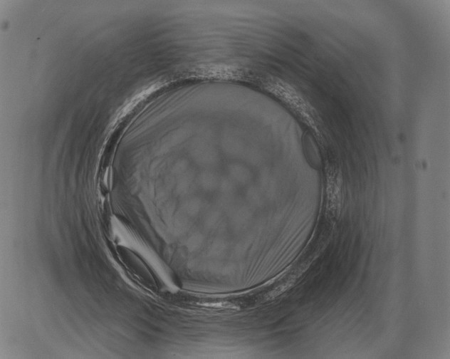 X0000085020674200703261221