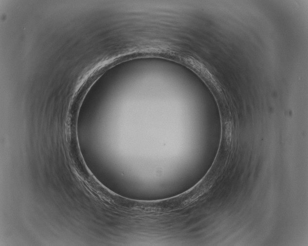 X0000085020676200703261221