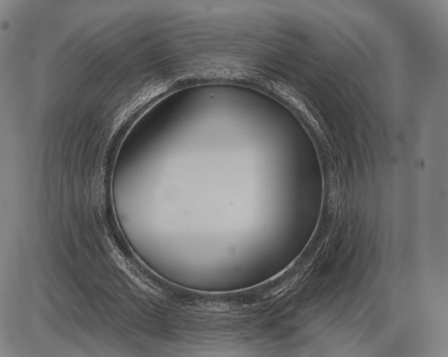 X0000085020677200703261221