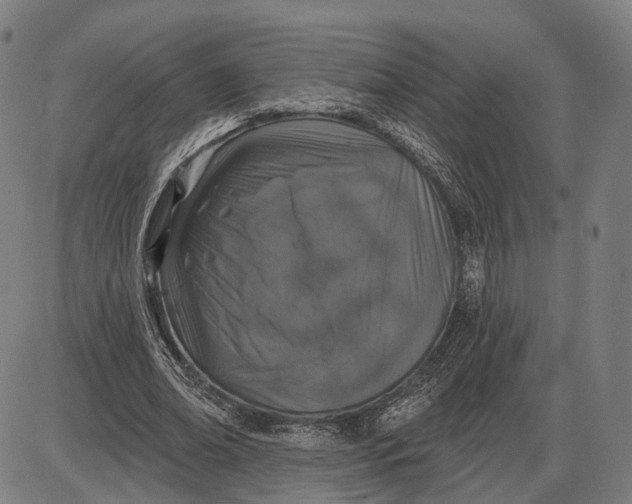 X0000085020678200703261221
