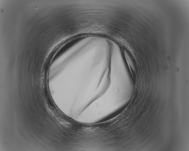 X0000085020680200703261221