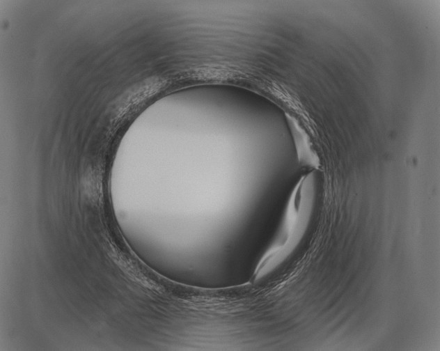 X0000085020681200703261221