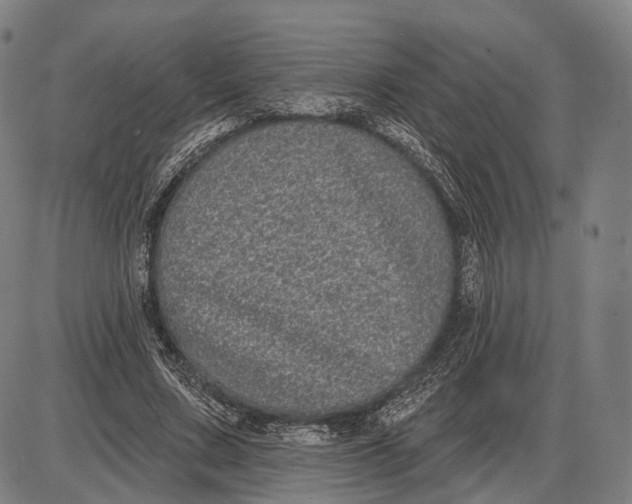 X0000085020683200703261221