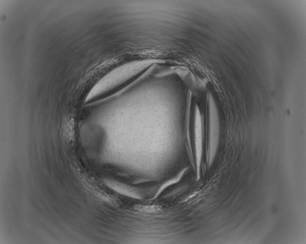 X0000085020689200703261221