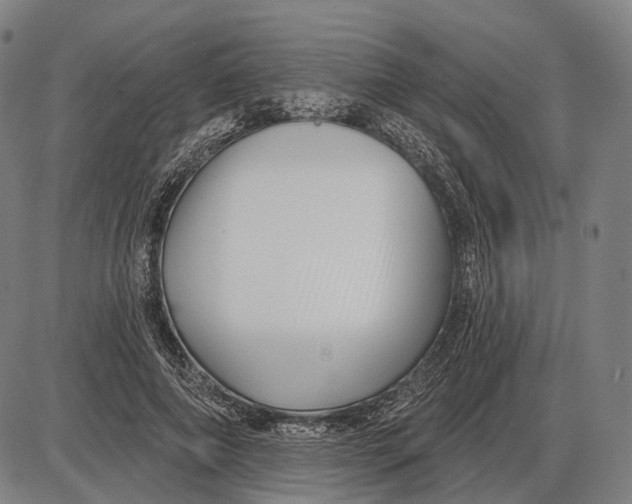X0000085020690200703261221