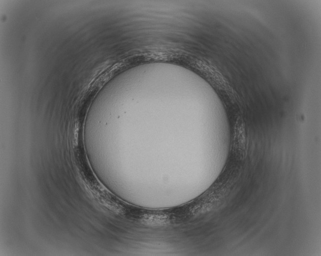 X0000085020694200703261221