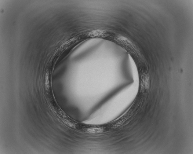X0000085020700200703261221