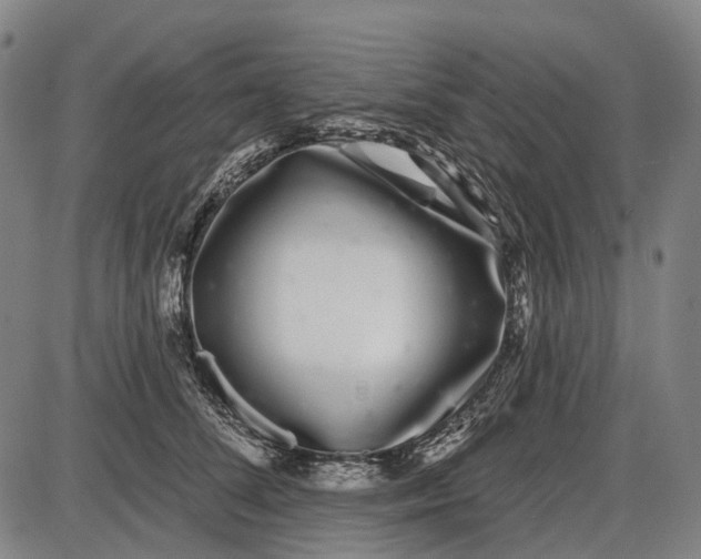 X0000085020708200703261221