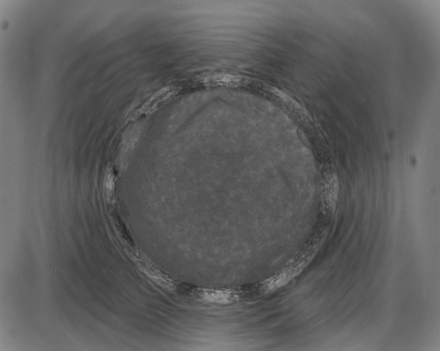 X0000085020709200703261221