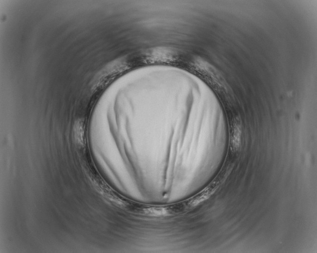 X0000085020715200703261221