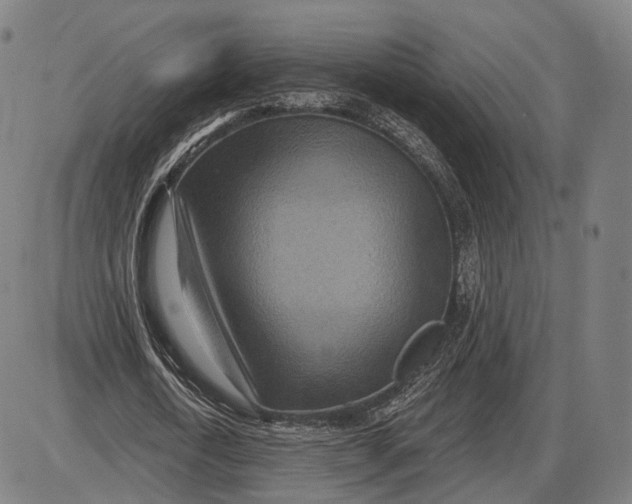 X0000085020722200703261220