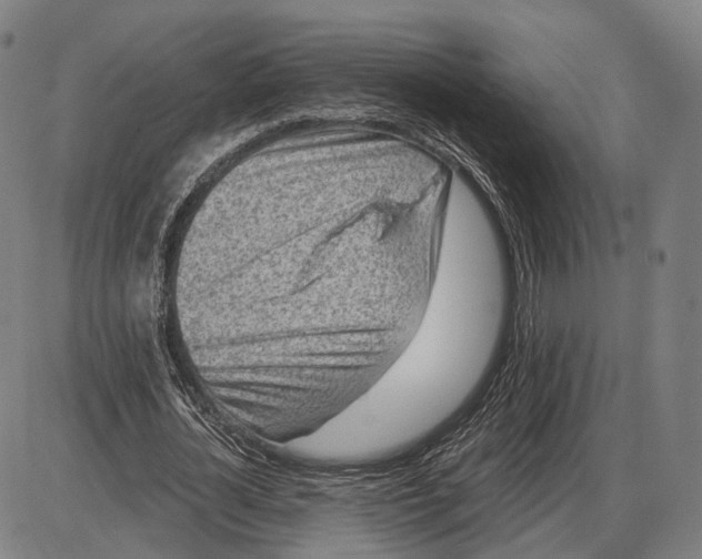 X0000085020724200703261220