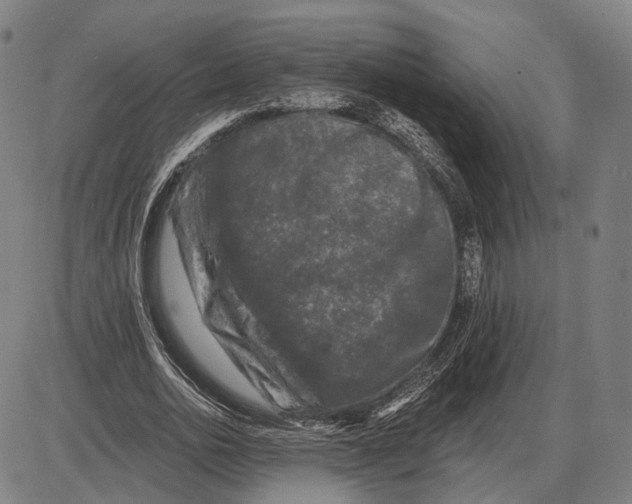 X0000085020726200703261220