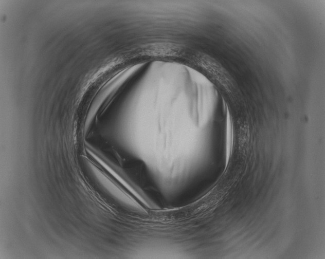 X0000085020727200703261220