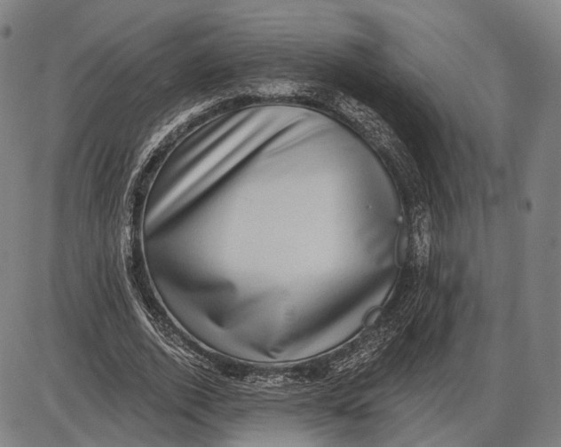 X0000085020728200703261220