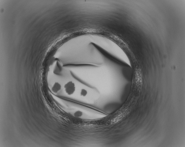 X0000085020730200703261220