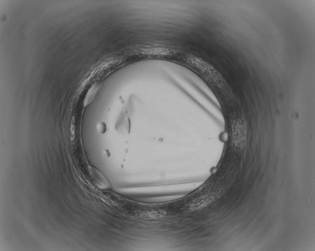 X0000085020731200703261220