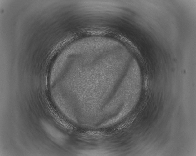 X0000085020733200703261220