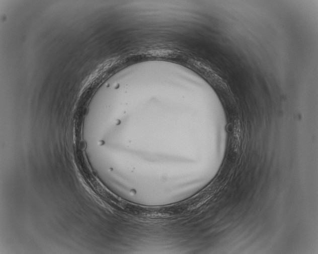 X0000085020734200703261220