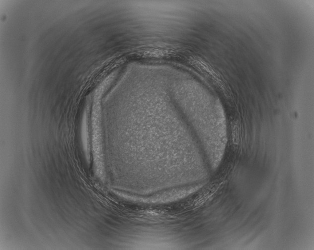 X0000085020737200703261220