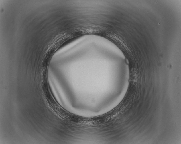 X0000085020738200703261220