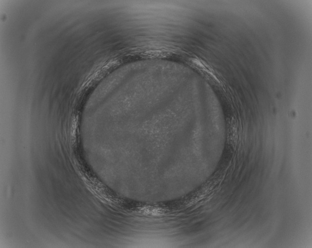 X0000085020742200703261220