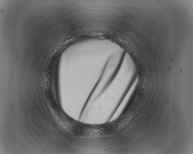 X0000085020743200703261220