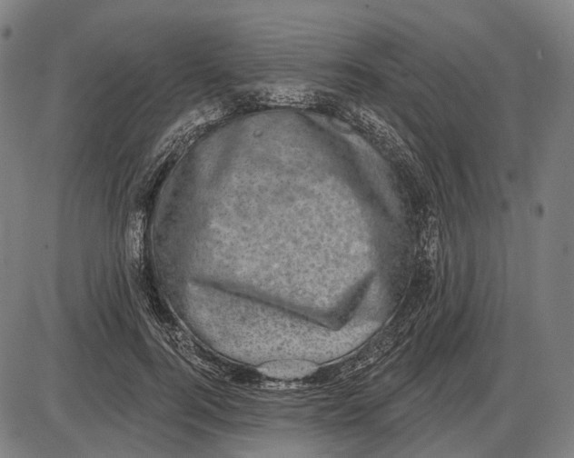 X0000085020744200703261220