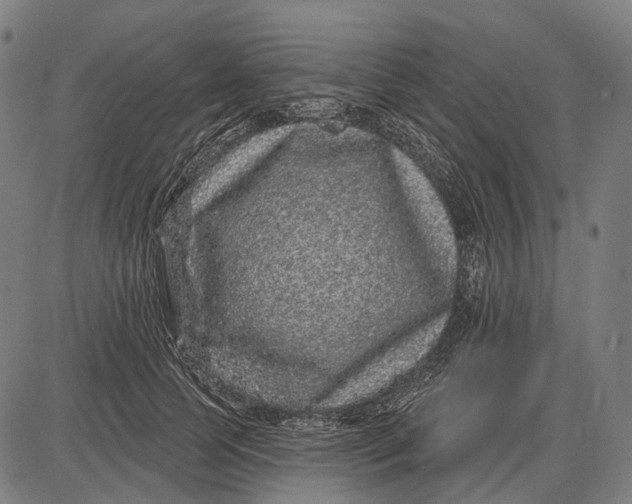 X0000085020745200703261220