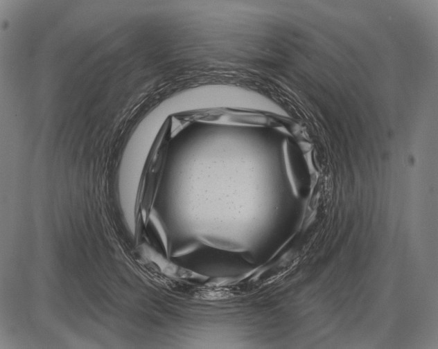 X0000085020750200703261220