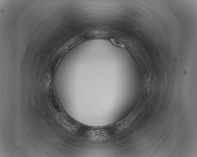 X0000085020752200703261220