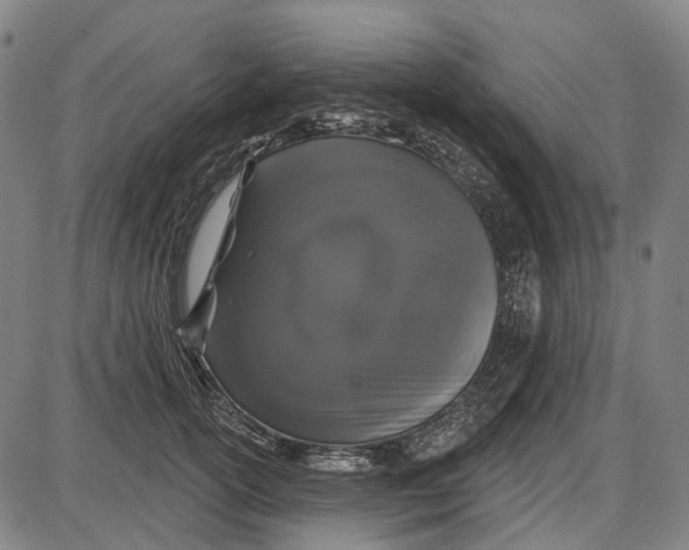 X0000085020754200703261220