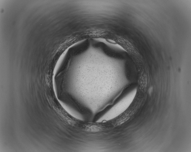 X0000085020755200703261220