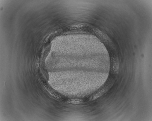 X0000085020758200703261220