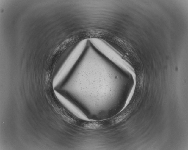 X0000085020759200703261220