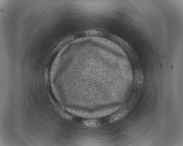 X0000085020761200703261220