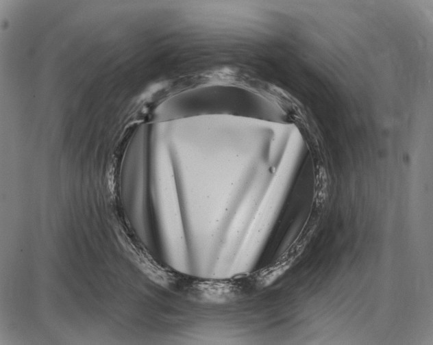 X0000085020762200703261220