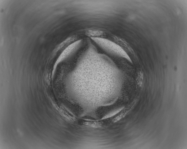X0000085020763200703261220