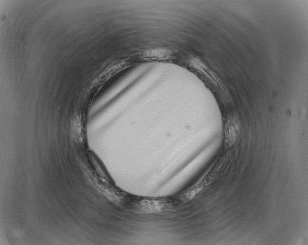 X0000085020764200703261220