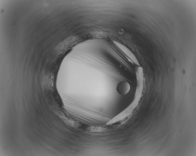 X0000085020766200703261220