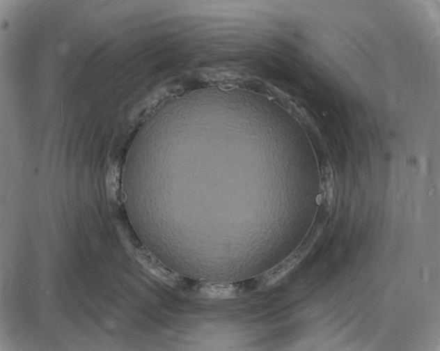 X0000085020767200703261220