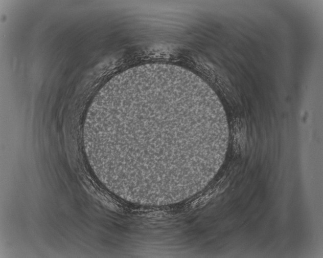 X0000085020769200703261220