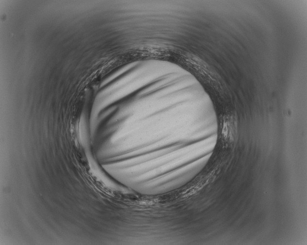 X0000085020771200703261220