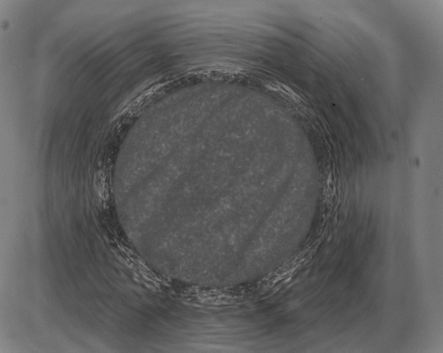X0000085020774200703261220